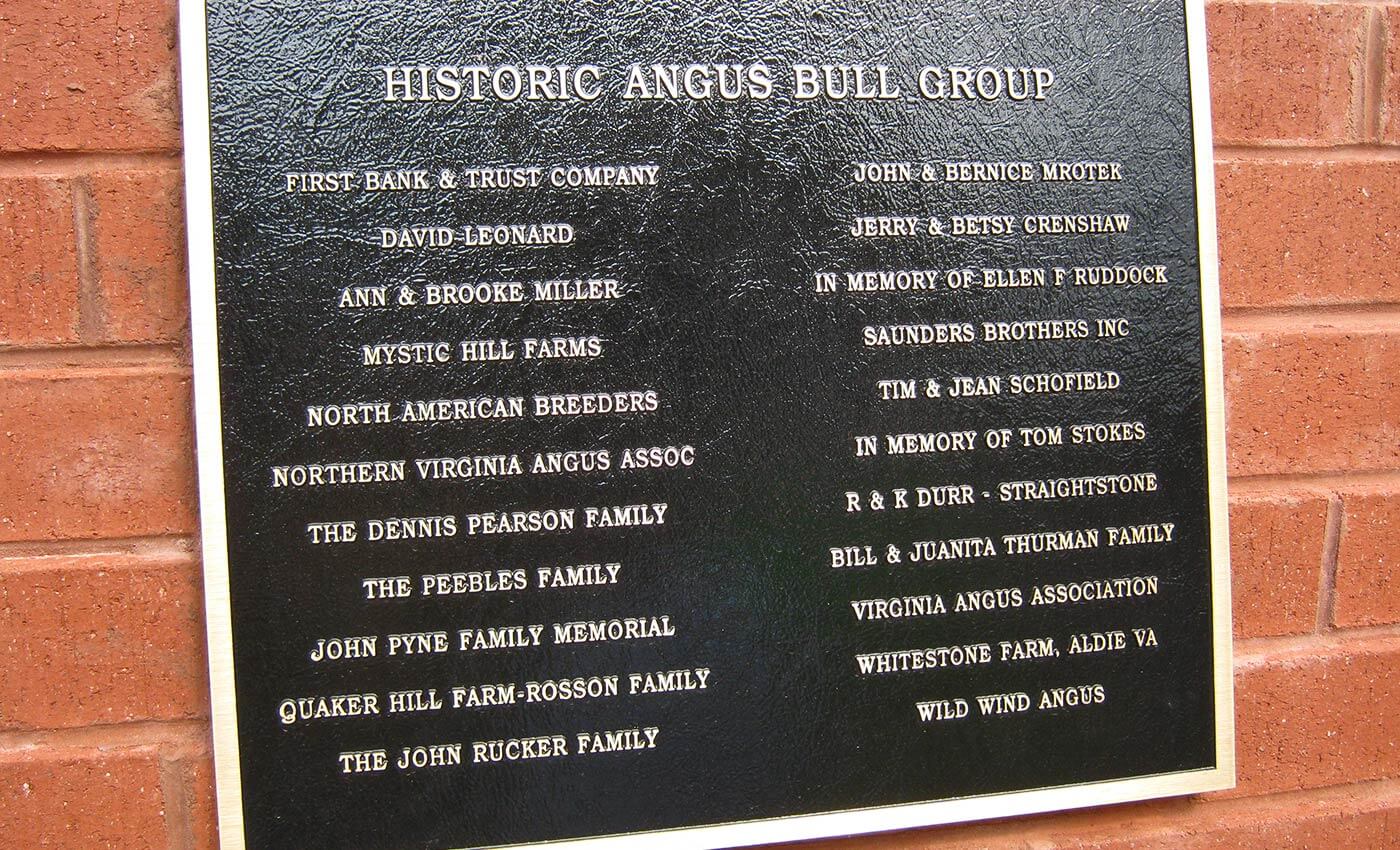 Historic Angus Bull Group